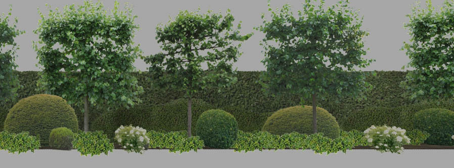 cloture de jardin avec tilleuls en rideau module 3d