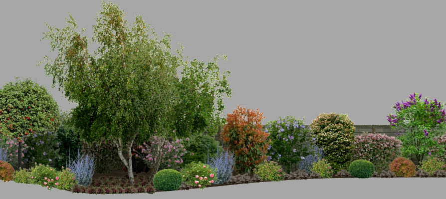 cloture de jardin bouleaux et arbustes module 3d