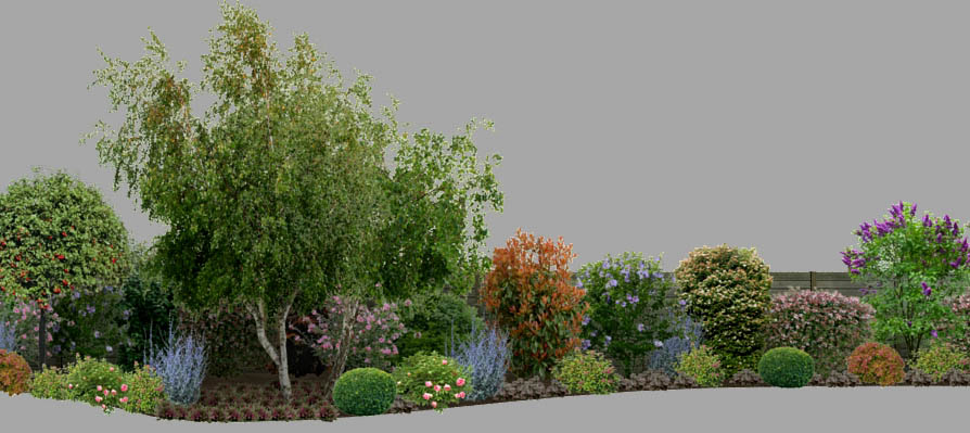 cloture de jardin bouleaux et arbustes module 3d